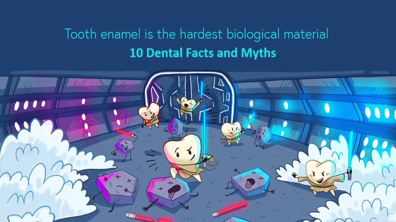 Dental Facts and Myths